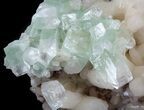 Zoned Apophyllite Crystals on Stilbite Association - India #44444-1